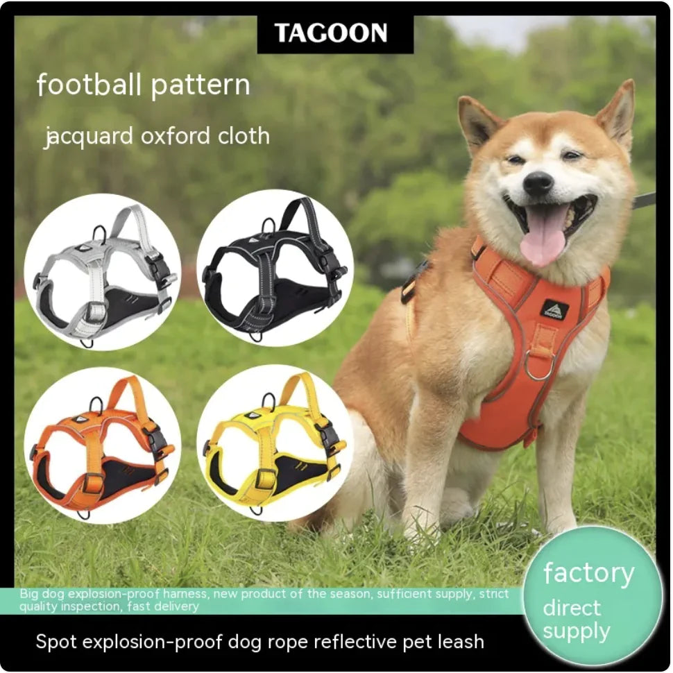 Pet Harnesses